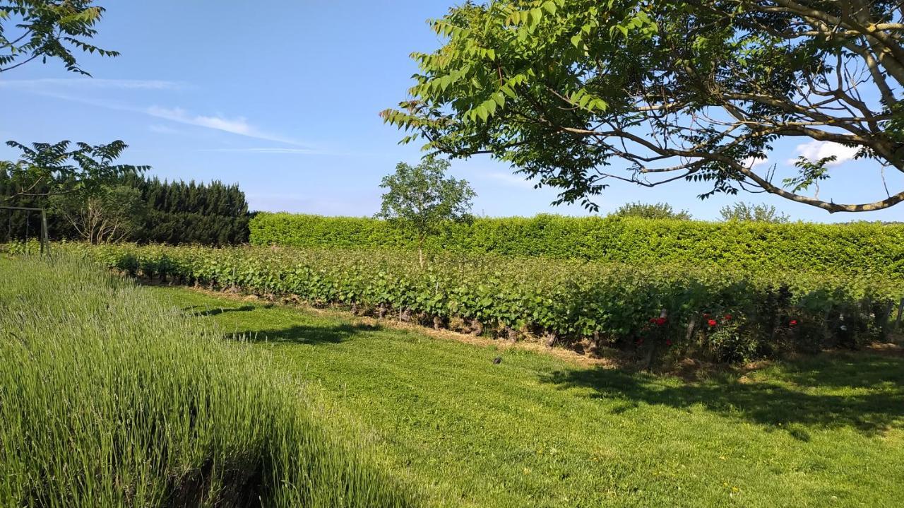 Clos des chenevières, 3 étoiles Comblanchien Exterior foto